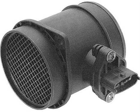 Air mass meter