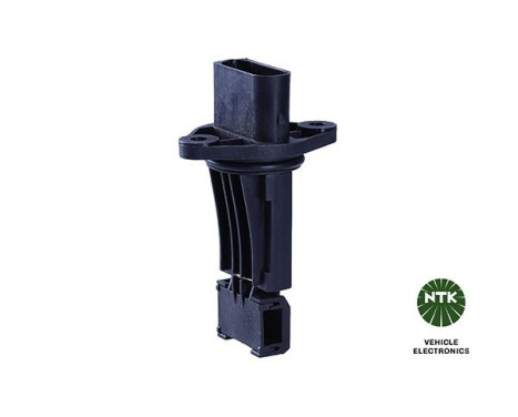 Air mass meter