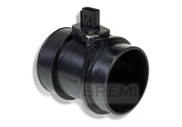 Air mass meter