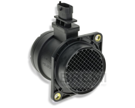 Air mass meter
