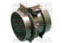 Air Mass Sensor