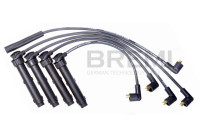 Spark plug cable set