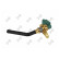 Oil level sensor