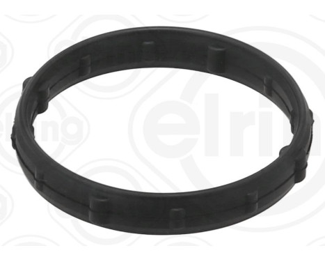 Seal Ring, engine oil level sensor