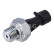 oil pressure switch