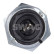 oil pressure switch, Thumbnail 3