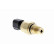 Oil pressure switch, Thumbnail 6
