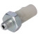 Oil pressure switch