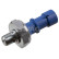 Oil pressure switch