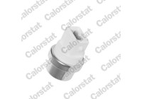 Temperature Switch, radiator fan