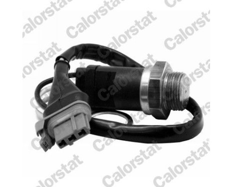 Temperature Switch, radiator fan