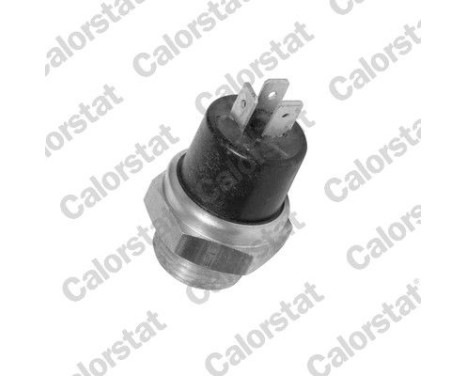 Temperature Switch, radiator fan