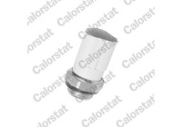 Temperature switch, radiator fan