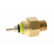 Temperature switch, radiator fan
