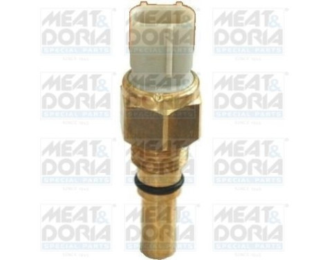 Temperature switch, radiator fan
