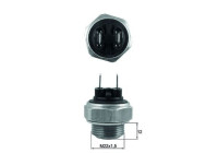 Temperature switch, radiator fan