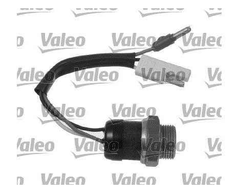 Temperature switch, radiator fan