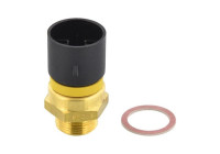 Temperature switch, radiator fan