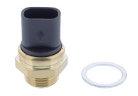 Temperature switch, radiator fan
