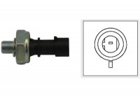 Oil Pressure Switch