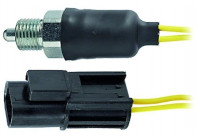 Switch, reverse light