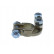 Battery terminal Blister