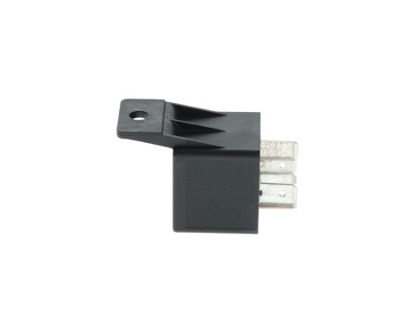 Multifunctional relay, Image 2