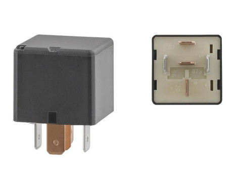 Multifunctional Relay