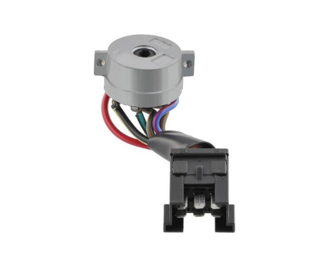 Ignition/Start Switch
