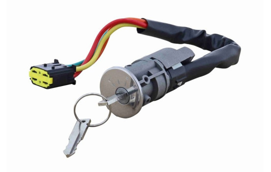 Ignition/starter switch