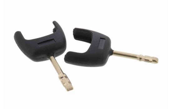 Steering lock, Image 2