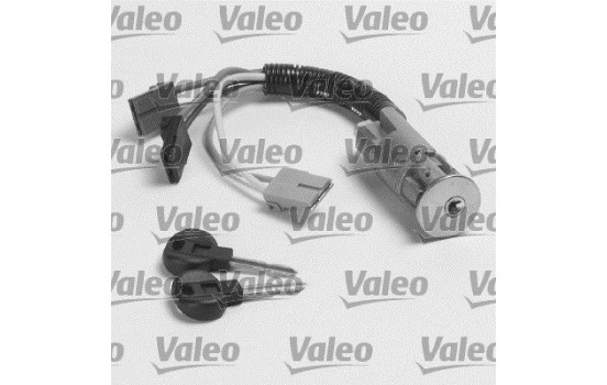 Steering Lock, Image 2