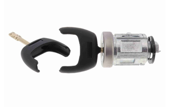 Steering lock