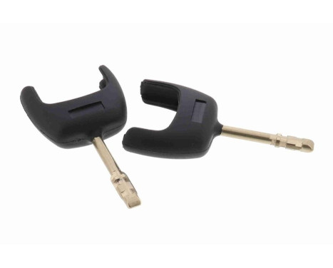 Steering lock, Image 2