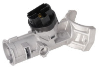 Steering lock