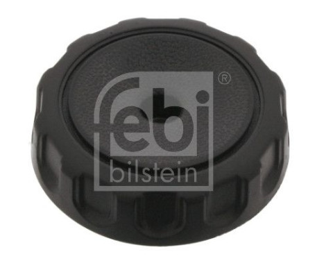 Control, seat back adjustment, Image 2