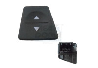 Switch, window regulator