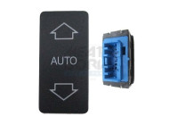 Switch, window regulator
