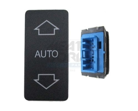Switch, window regulator