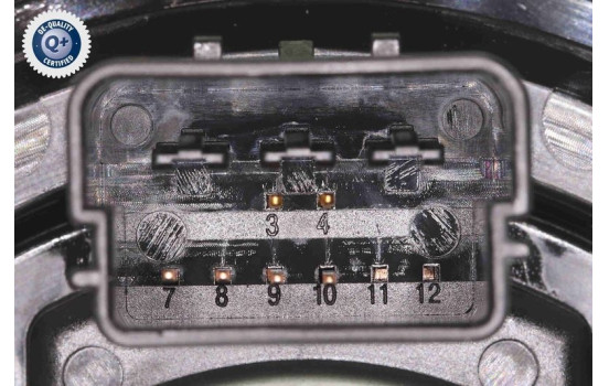 Coil spring, airbag