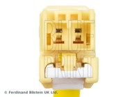 Winding spring, airbag Blue Print Solution ADBP140050