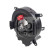 Winding spring, airbag febi Plus 194647