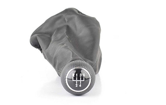 gear knob
