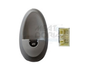 Switch, window regulator