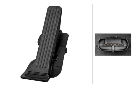 Sensor, accelerator pedal position