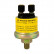 Sender Oil Pressure for Performance Instrument instruments 0-10 bar, 3-160ohm.