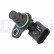 Camshaft sensor SS12362-12B1 Delphi