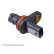 Sensor, camshaft position ADG07298 Blue Print, Thumbnail 3