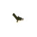 Sensor, camshaft position PG-3-5 Bosch, Thumbnail 3