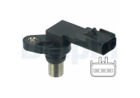 Sensor, camshaft position SS11145 Delphi